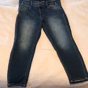 Flying Monkey High Rise Skinny Jean